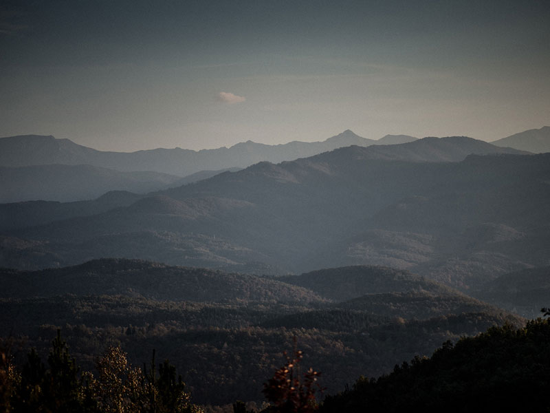 duplicada DÍA A DÍA: APOCALIPSIS 12:1